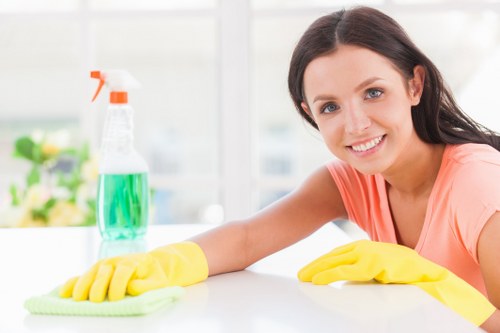 Professional home cleaners in Docklands cleaning a modern apartment living room