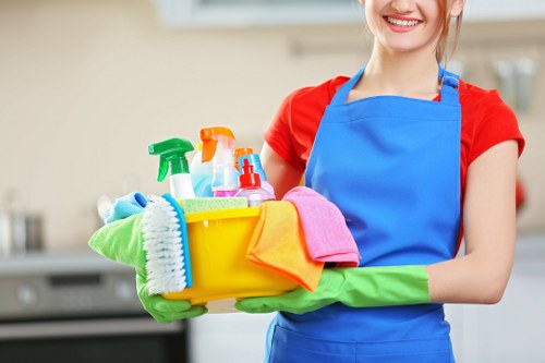 Professional cleaner in Docklands servicing a modern apartment