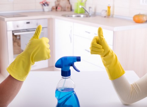 Professional cleaners in Docklands working in a modern apartment