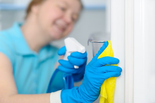 Commercial cleaning team working in a Docklands office