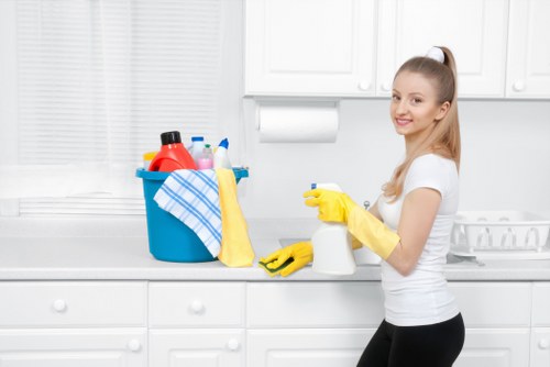 Professional carpets cleaner in Docklands for fresh and clean flooring