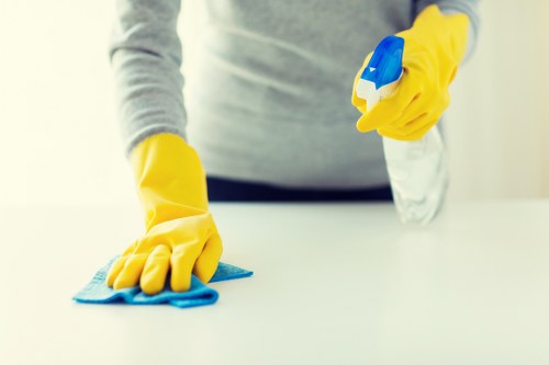 Technician cleaning a fabric sofa in Docklands apartment