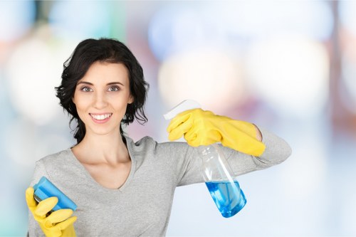 Docklands cleaner servicing a contemporary office interior