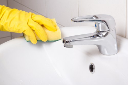 Eco-friendly window cleaning in Docklands for spotless glass surfaces