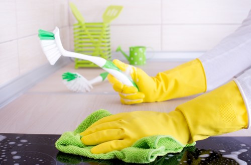 Eco-friendly house cleaning in Docklands interior
