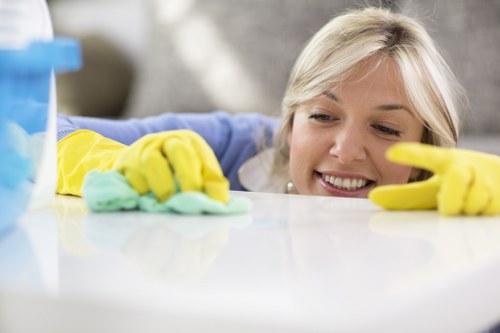 Eco-friendly carpet cleaner in Docklands restoring carpet freshness