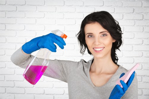 Professional cleaners in Docklands deep cleaning a bathroom with attention to detail