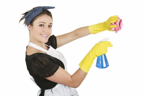 Eco-friendly cleaning company in Docklands delivering specialist services